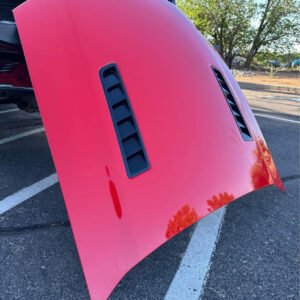 2013-2014 Ford Mustang GT/CS Hood