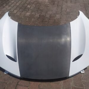 Maserati mc20 hood + fenders